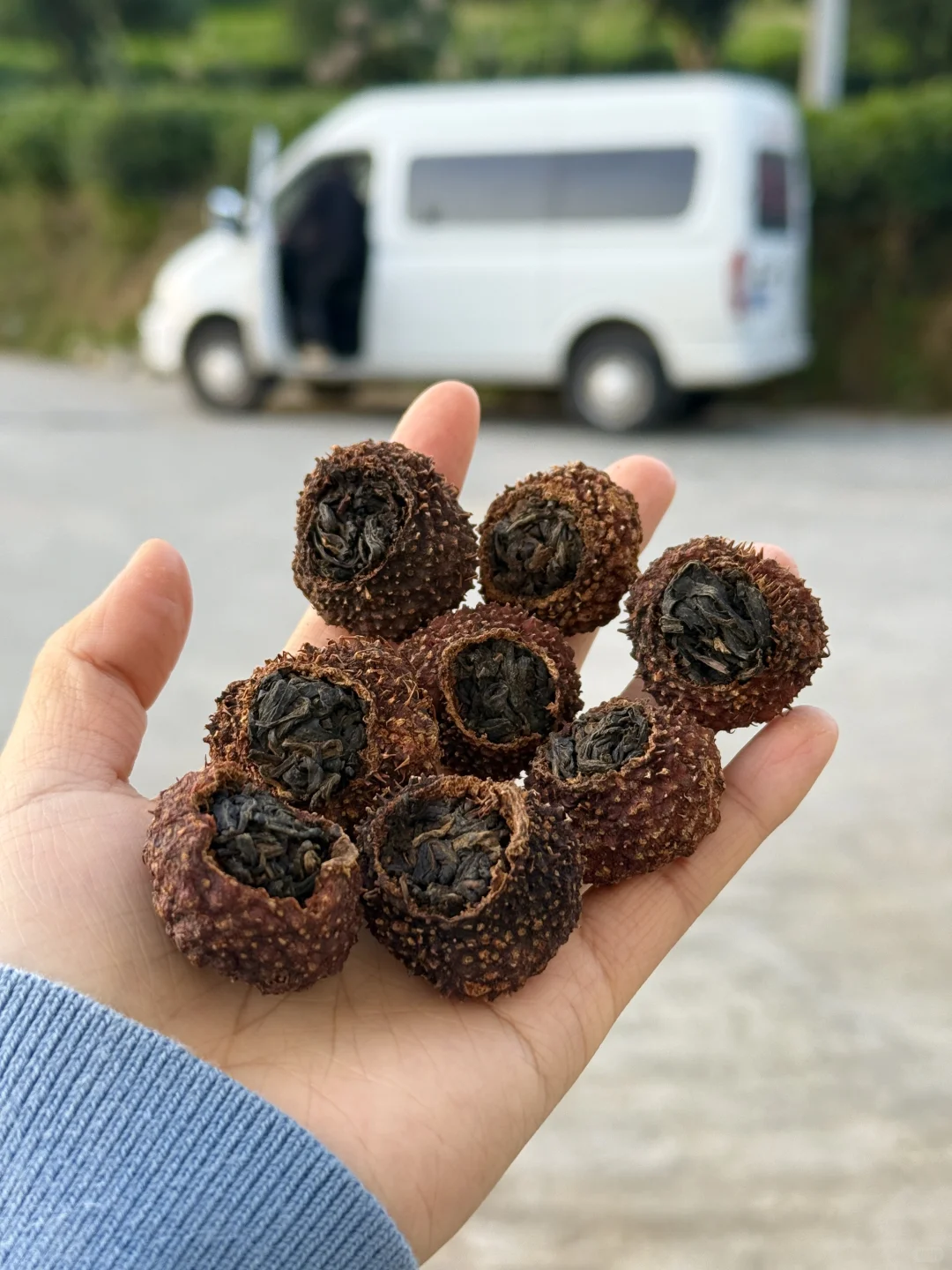 虽然颜色黑，但是维C爆棚！板栗香型