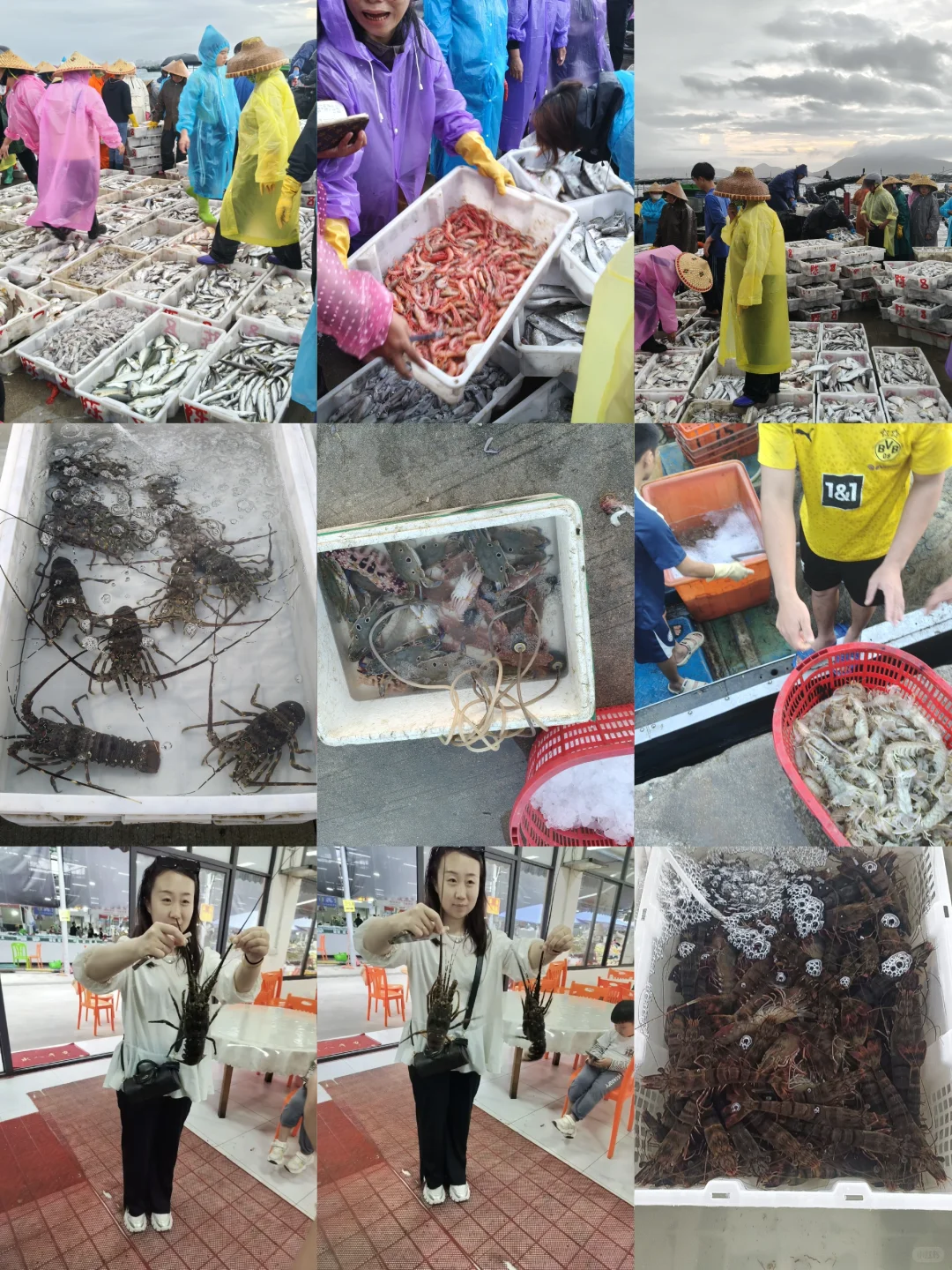 陵水新村码头!本地妹带买海鲜+加工,省一