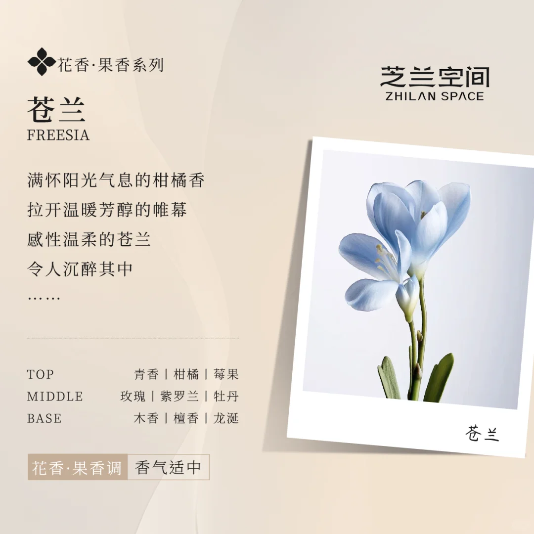 花香型香气推荐