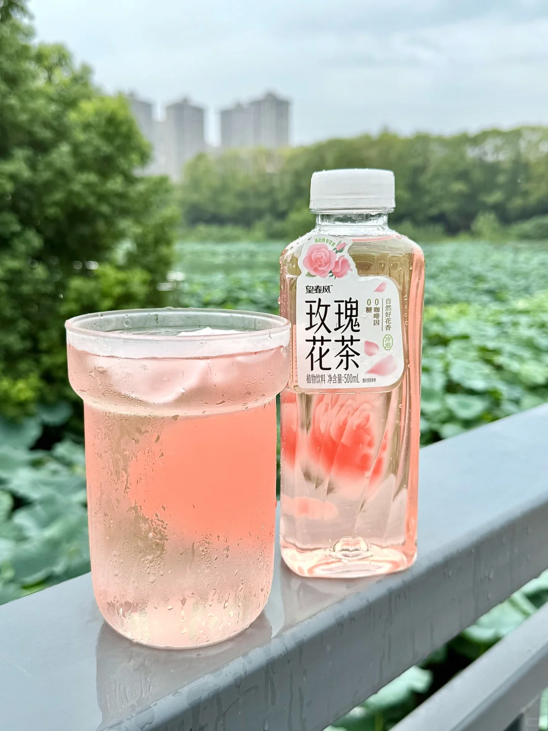 你以为的养生玫瑰花茶，可能正在慢性毁容