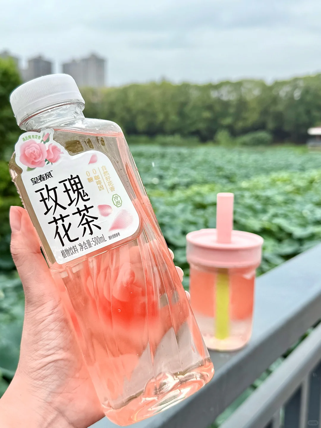 你以为的养生玫瑰花茶，可能正在慢性毁容