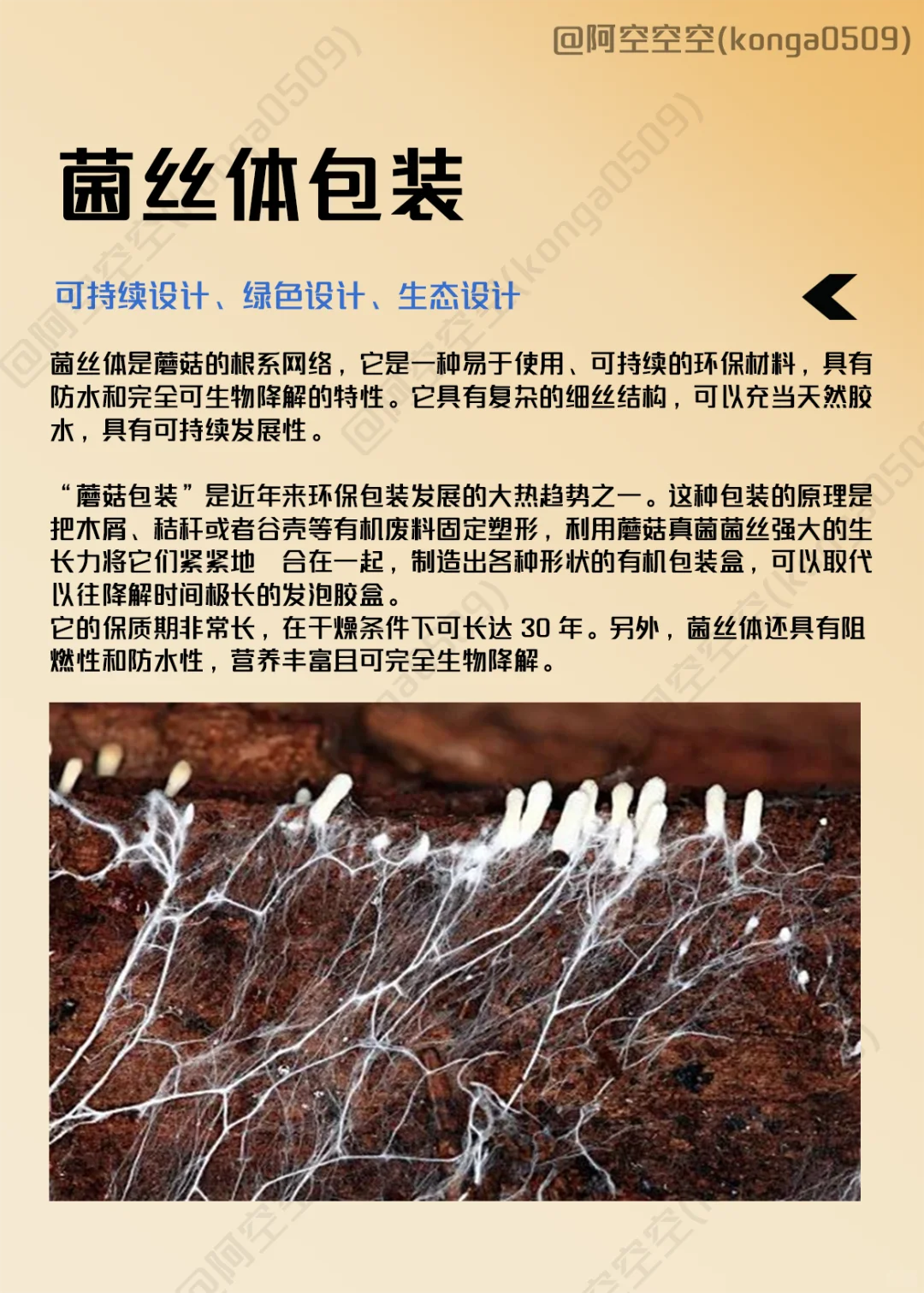 设计案例积累｜可持续环保包装材料—菌丝体