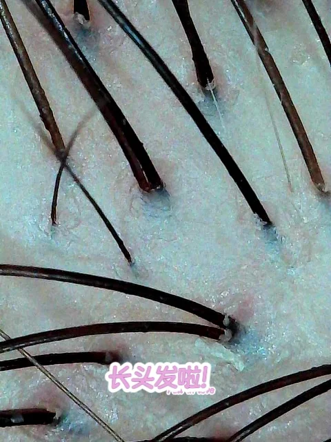 #生姜饮品新用法被我挖到了 109元