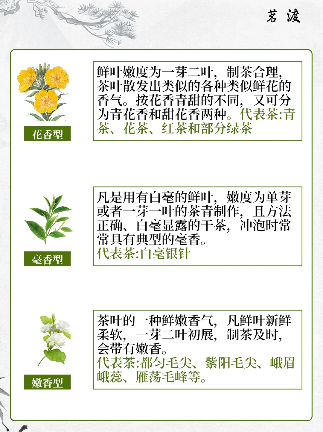 喝了这么久的茶，竟然还不知它有九种茶香