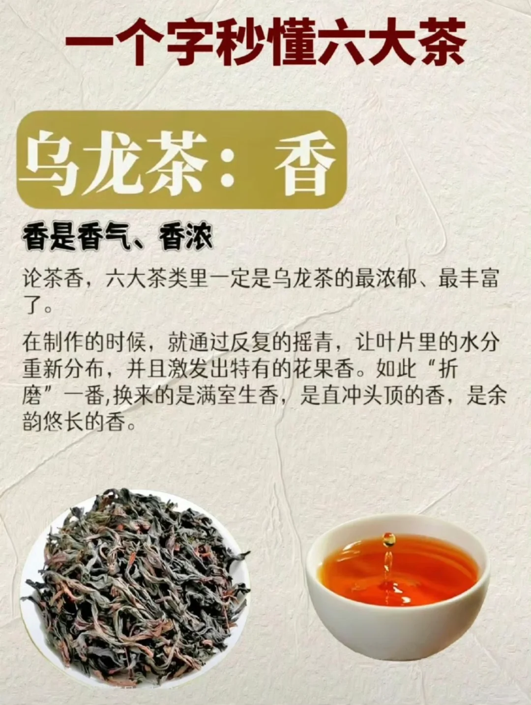 一个字秒懂六大茶类，小白速进！
