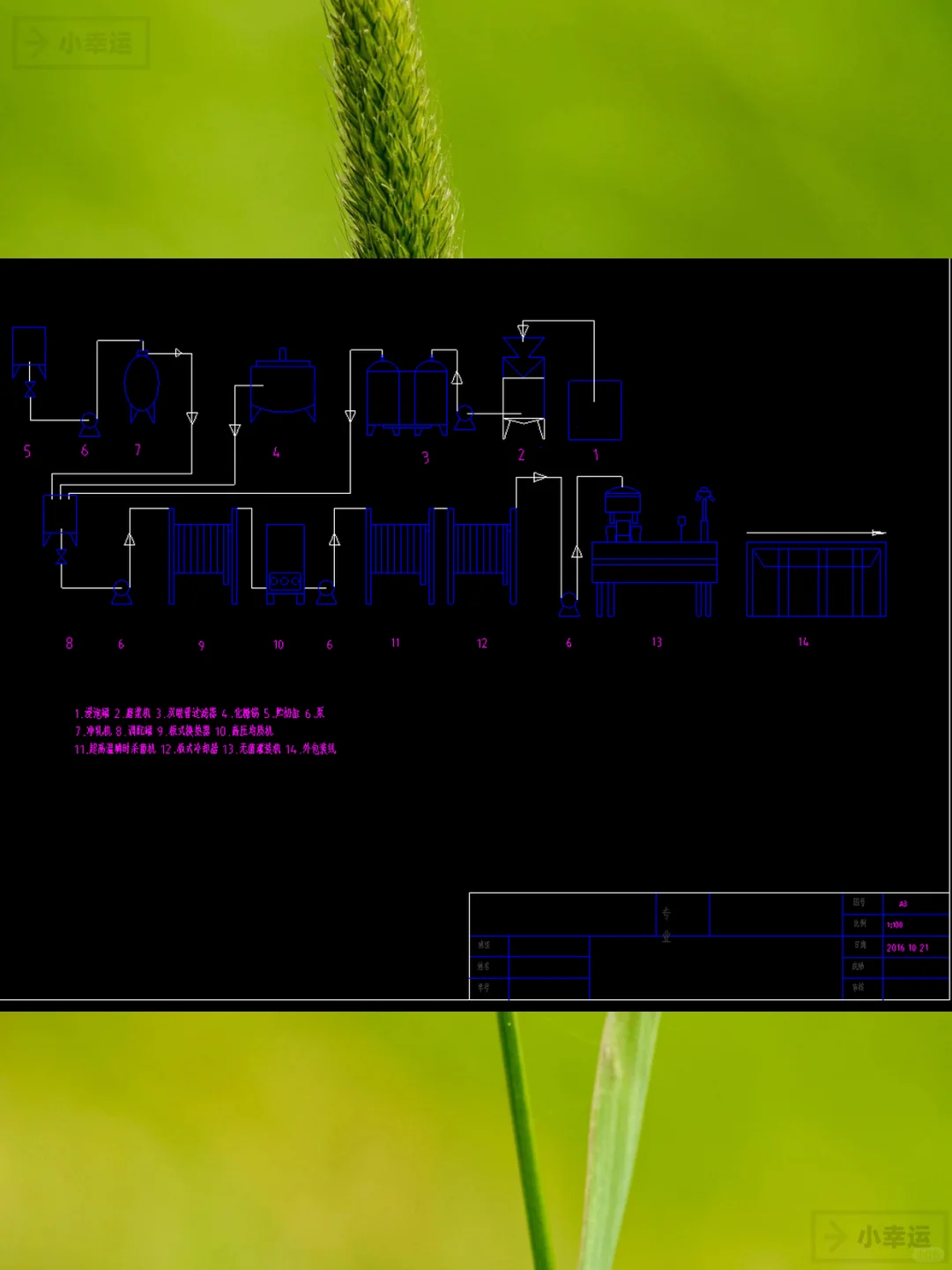 年产2000吨花生蛋白乳饮料工厂CAD设计
