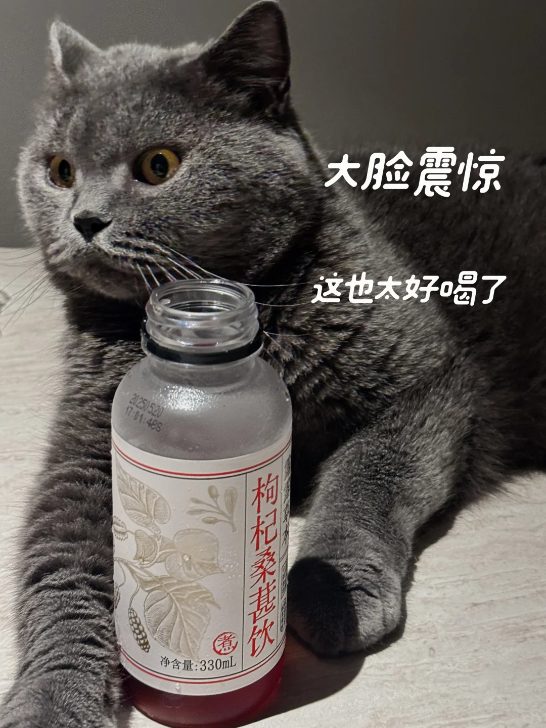 液断养生两不误（配料表超干净版！）