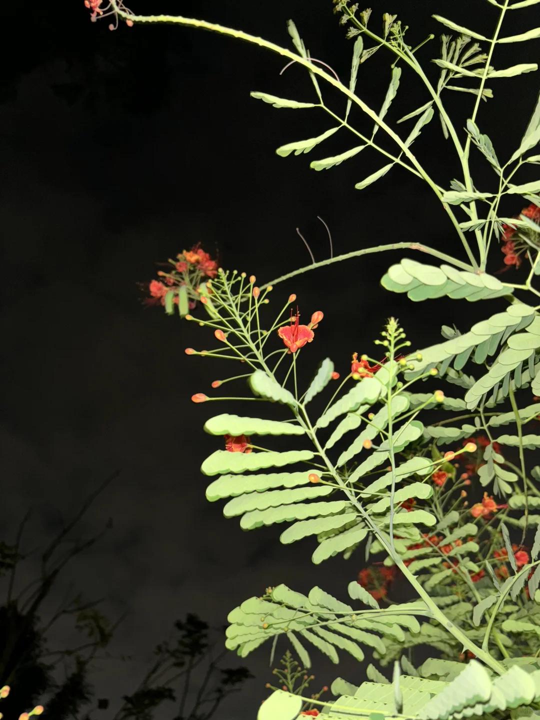 外贸业务员的碎碎念(1)