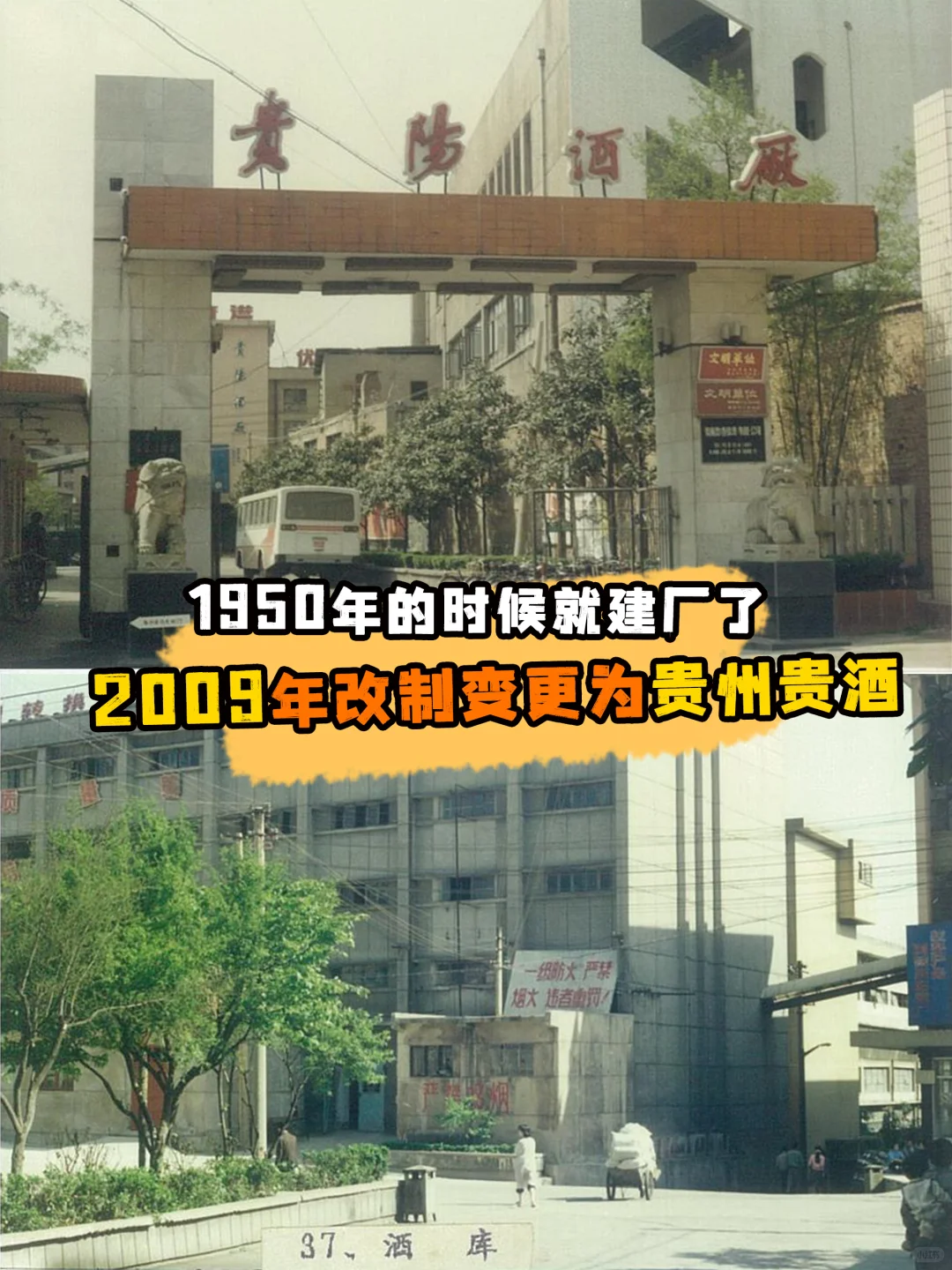 贵酒你别藏了！打卡斥资近50 亿建的酒厂~