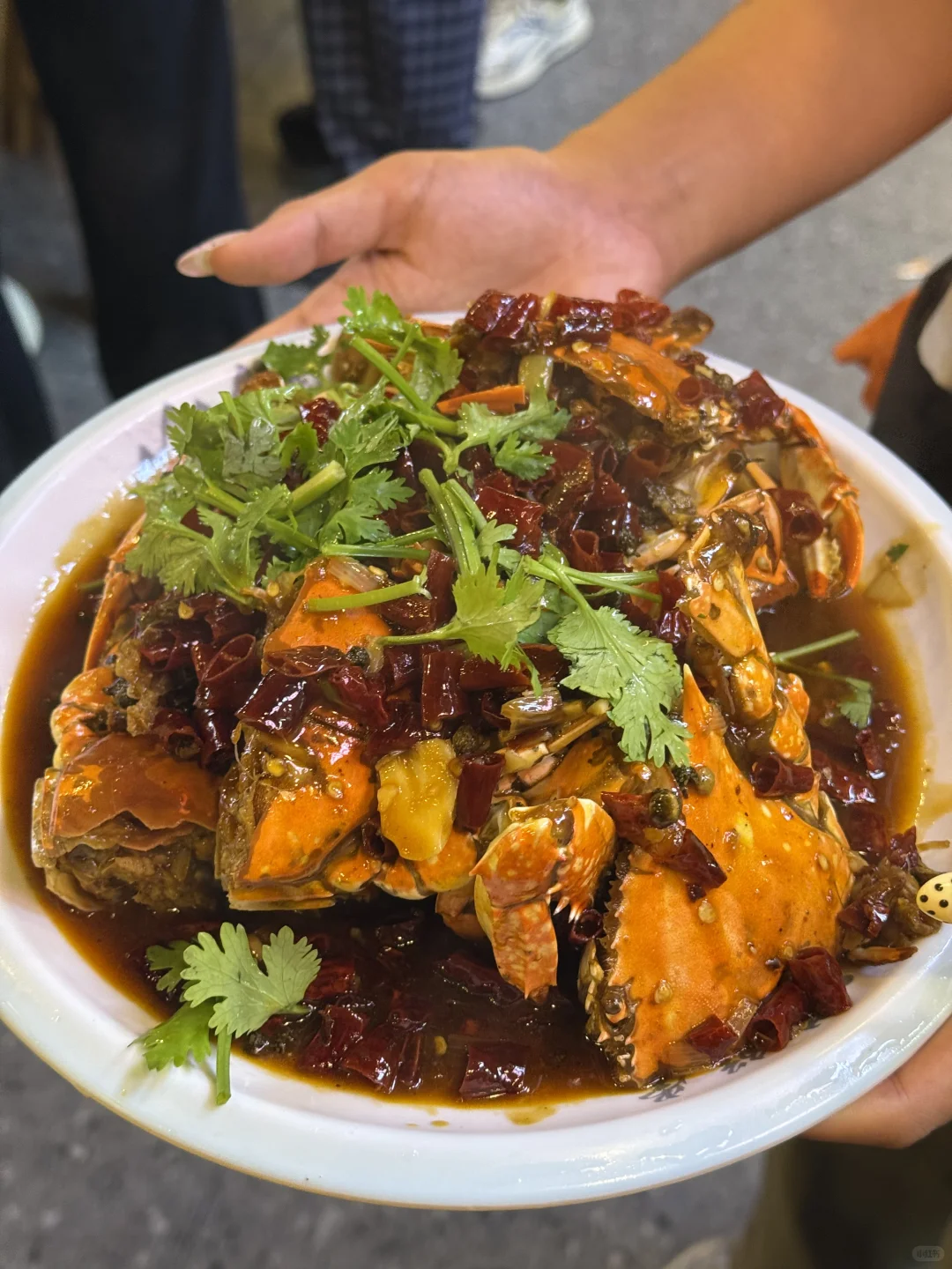 10月海鲜实时价格｜海鲜加工本地人带你避雷