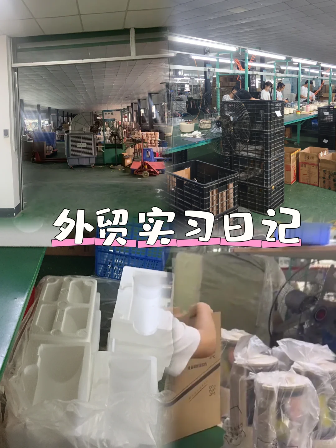 家电外贸实习Day19|工厂学习