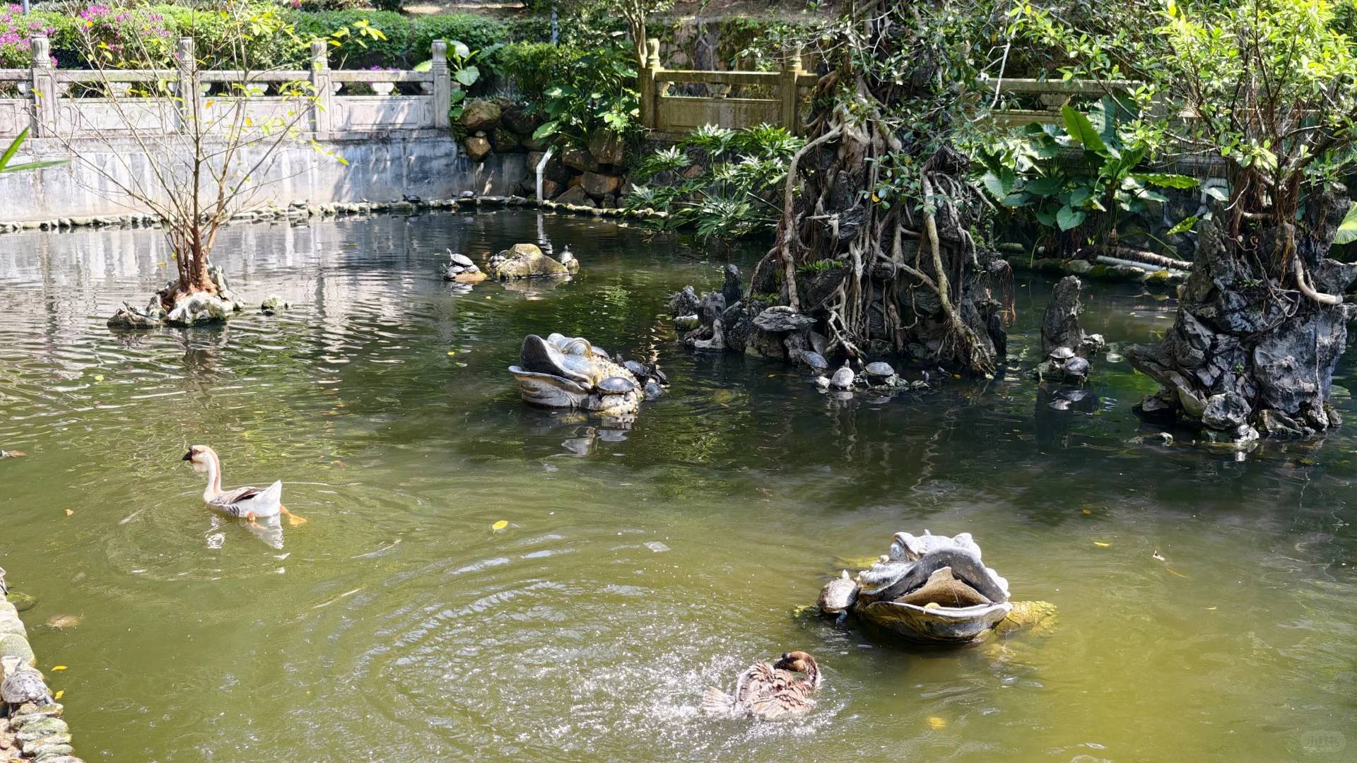 国恩寺之于六祖慧能，禅宗文化的精神地标
