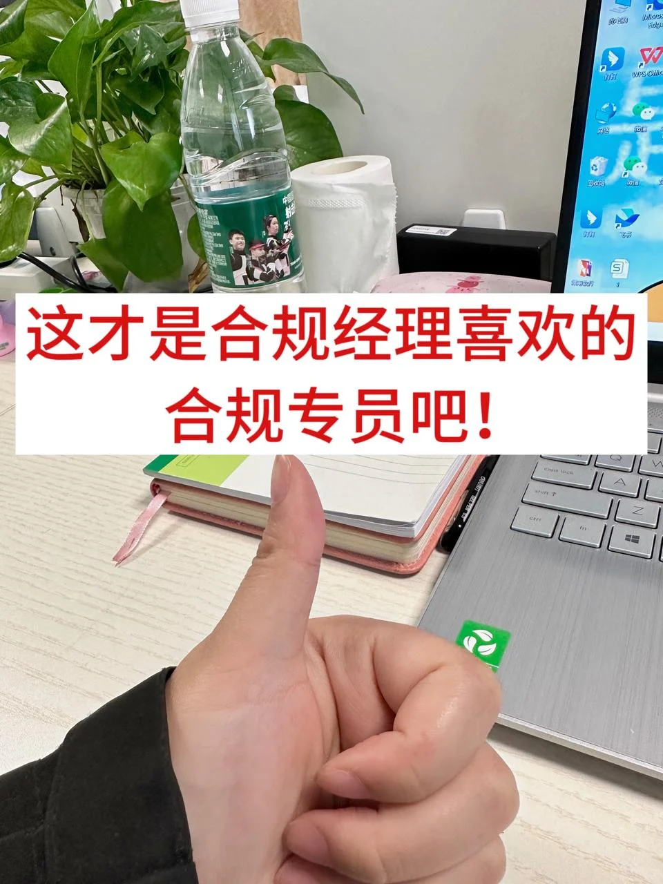 新来的合规专员真的太棒了！