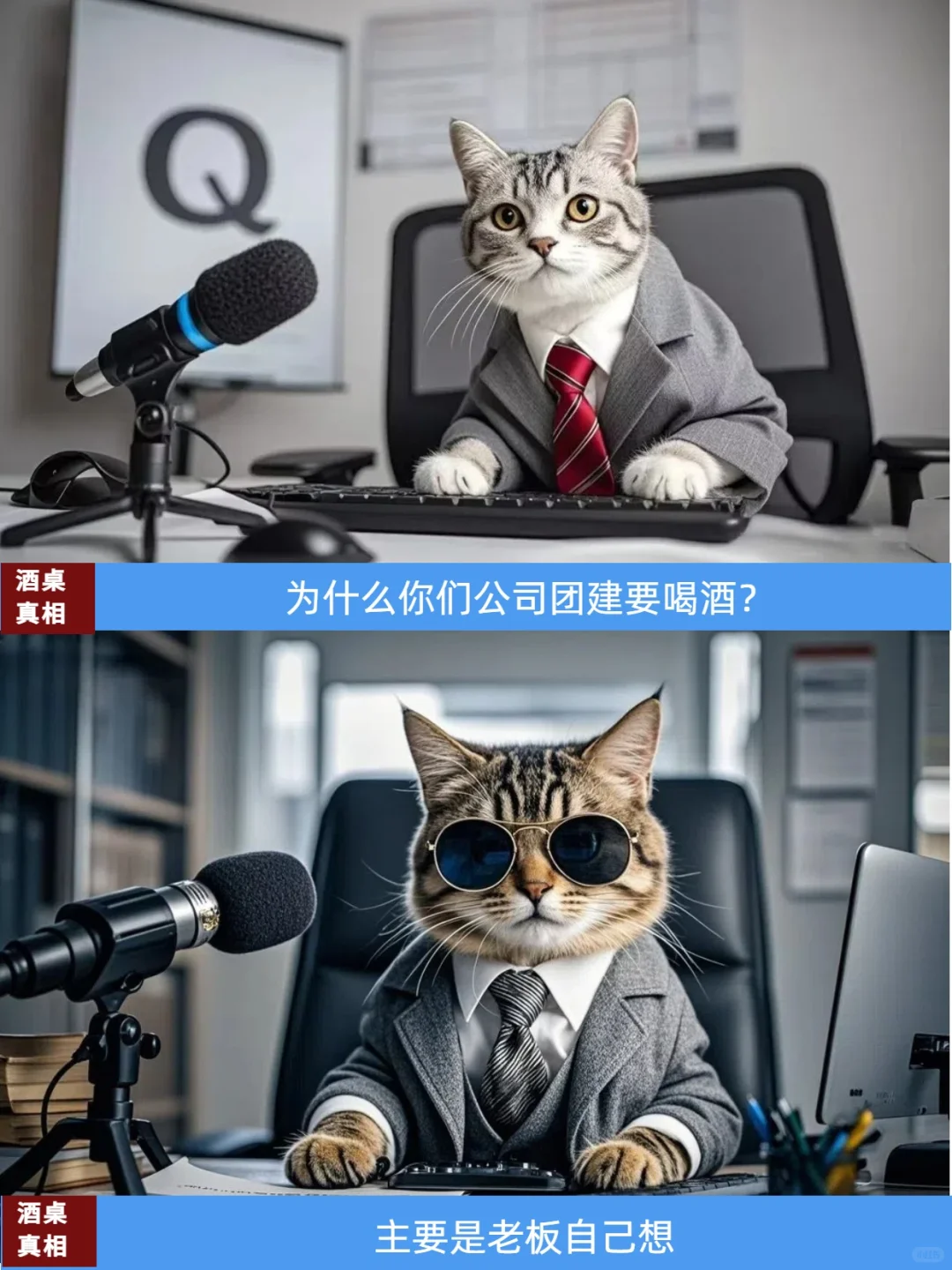 你如何看待酒桌文化？浅谈一下?