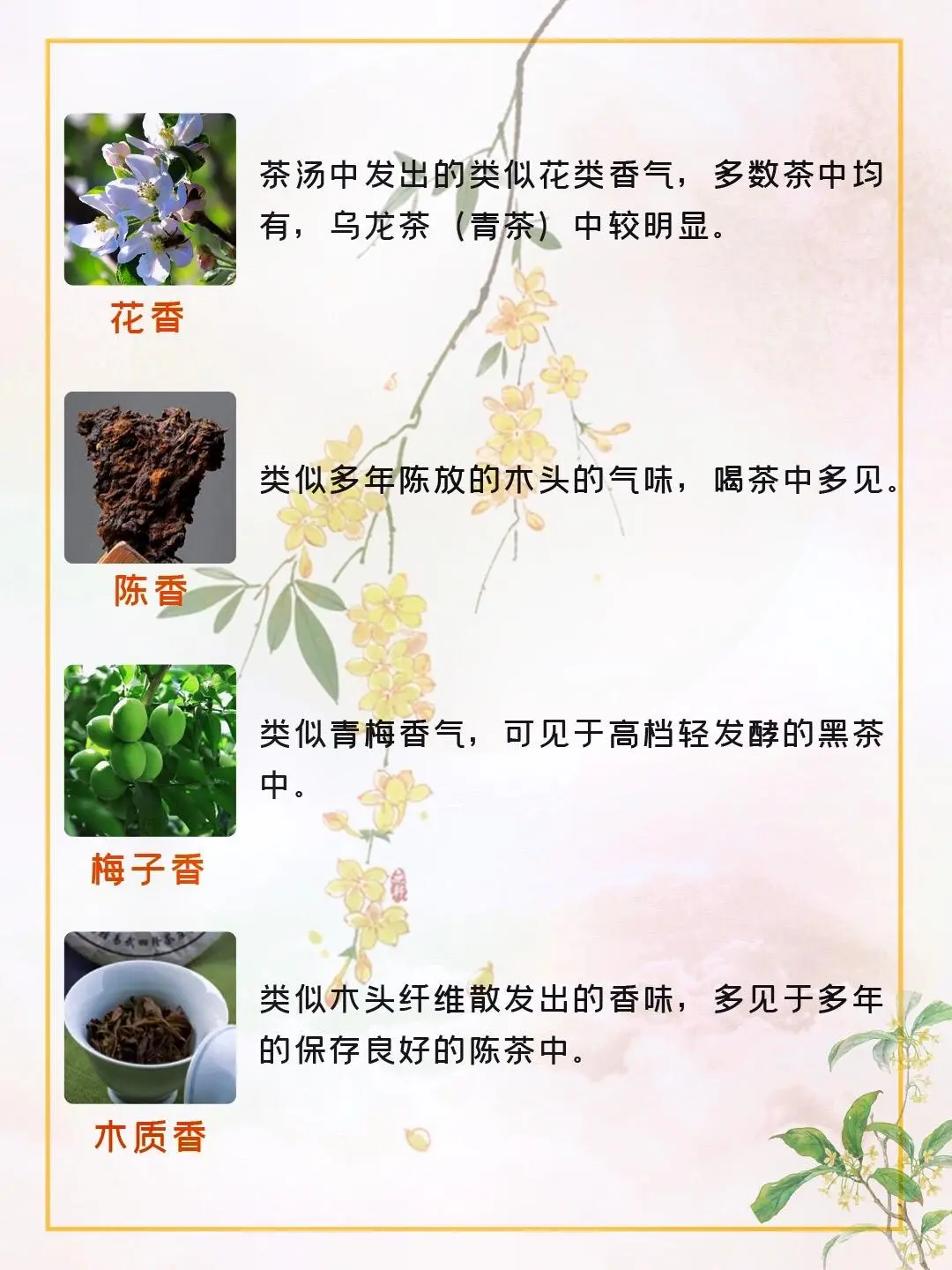 常见的20种茶香 你闻过几种呢❓