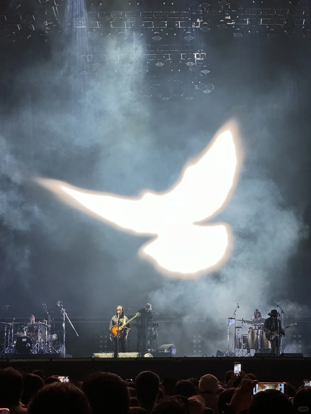 植物超人?音乐节高燃现场回顾