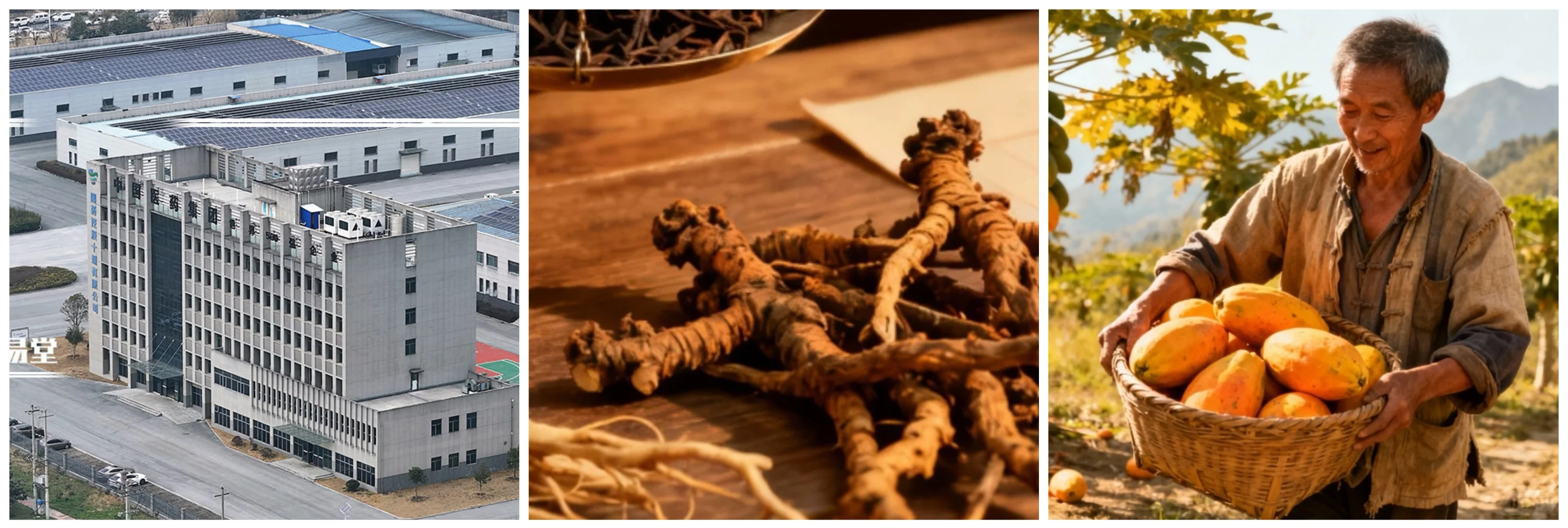 十堰中医药产业正形成有特色产业高地