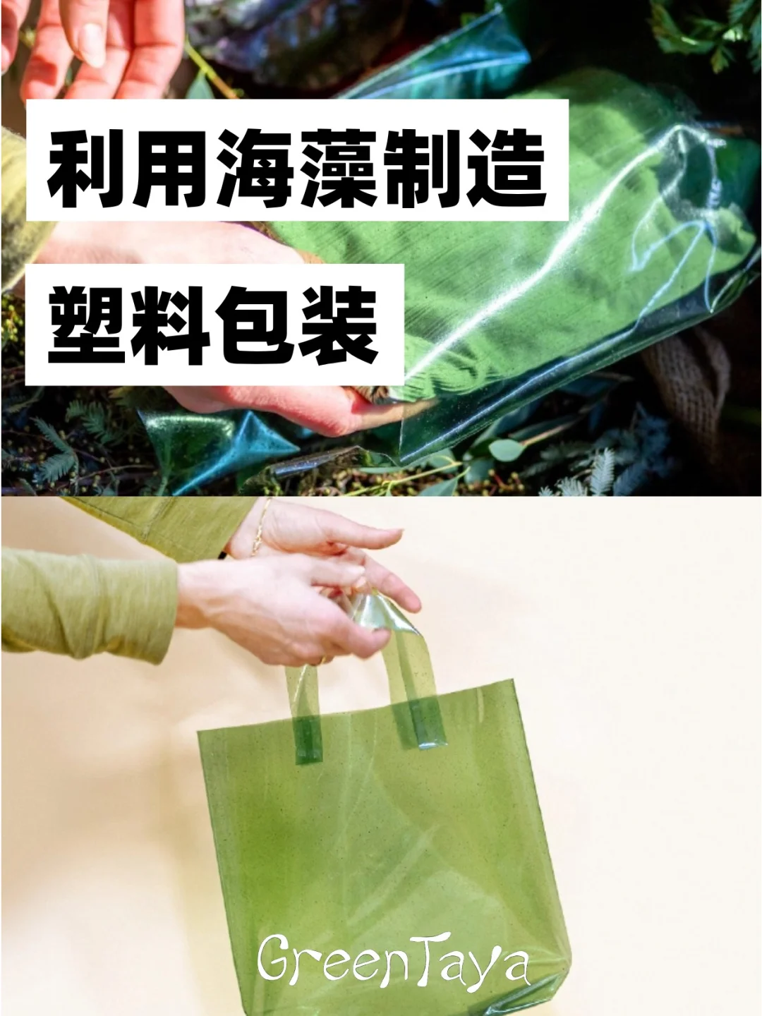 环保材料?|利用海藻制作塑料包装