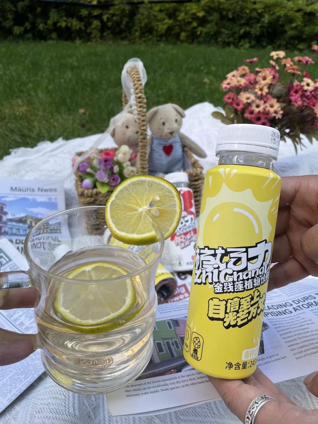 ?来自云南的惊喜 金线莲植物饮料～