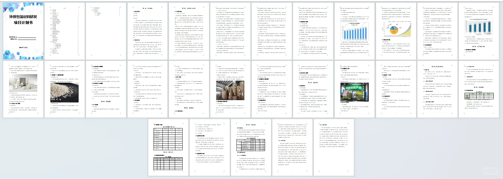 【环保包装材料研发】项目计划书Word➕PPT