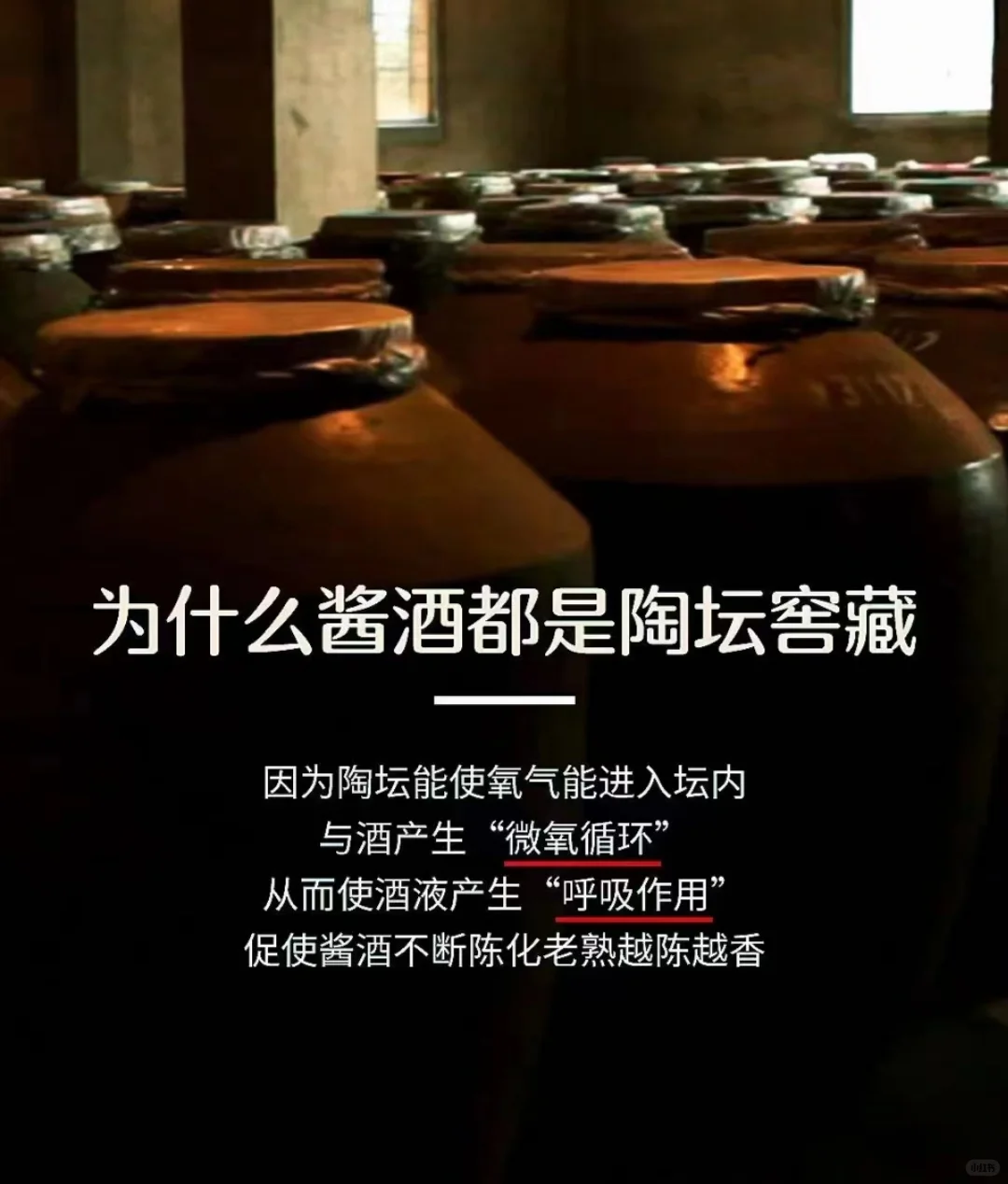 为什么酱酒都是陶坛窖藏