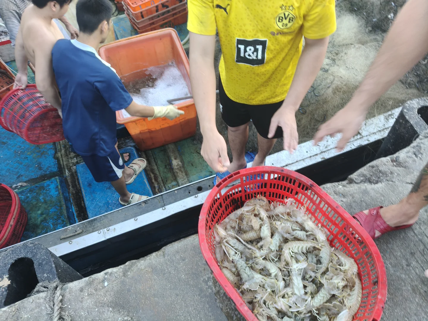 陵水新村码头!本地妹带买海鲜+加工,省一