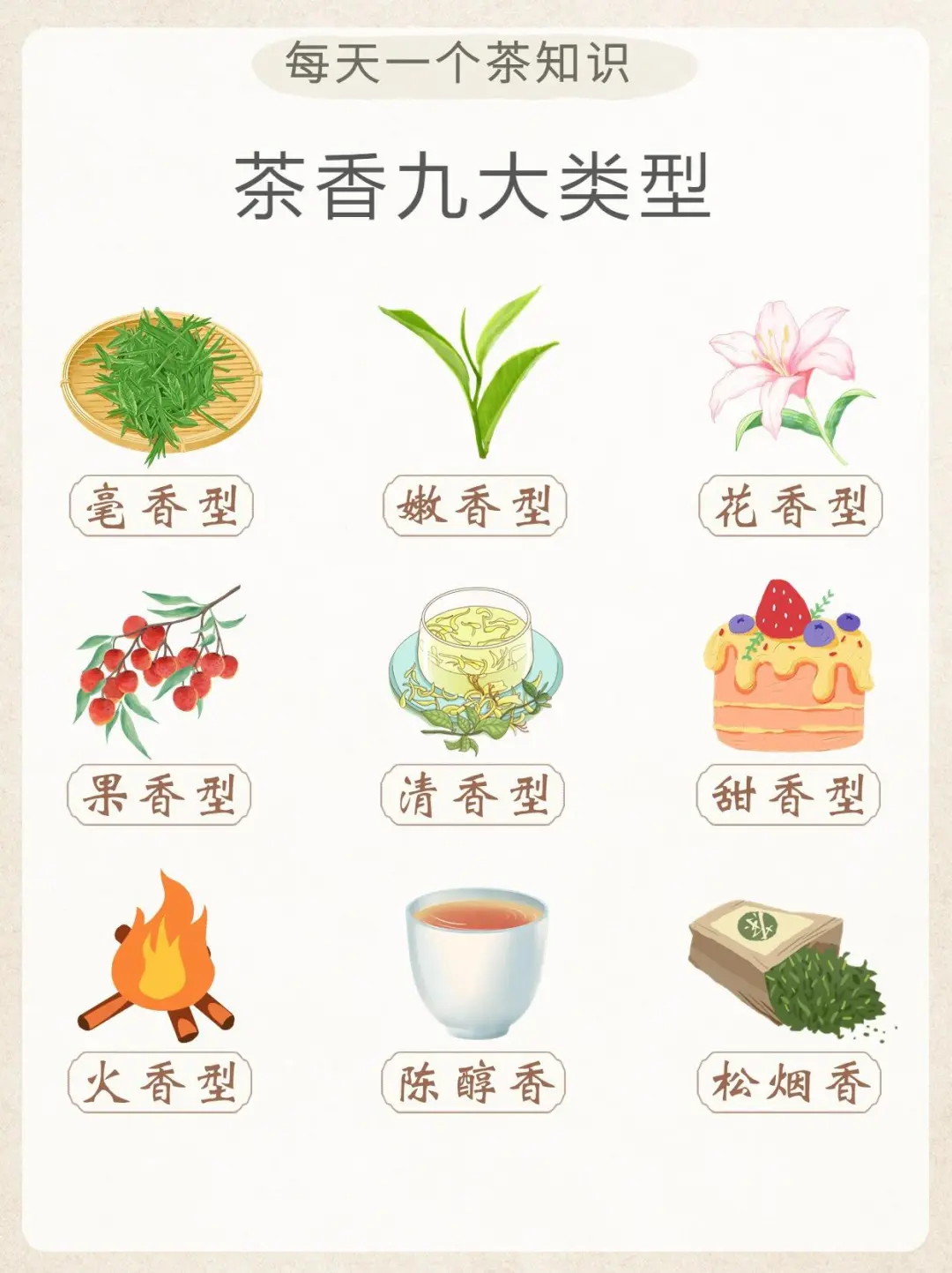 tea香的类型，速知！?