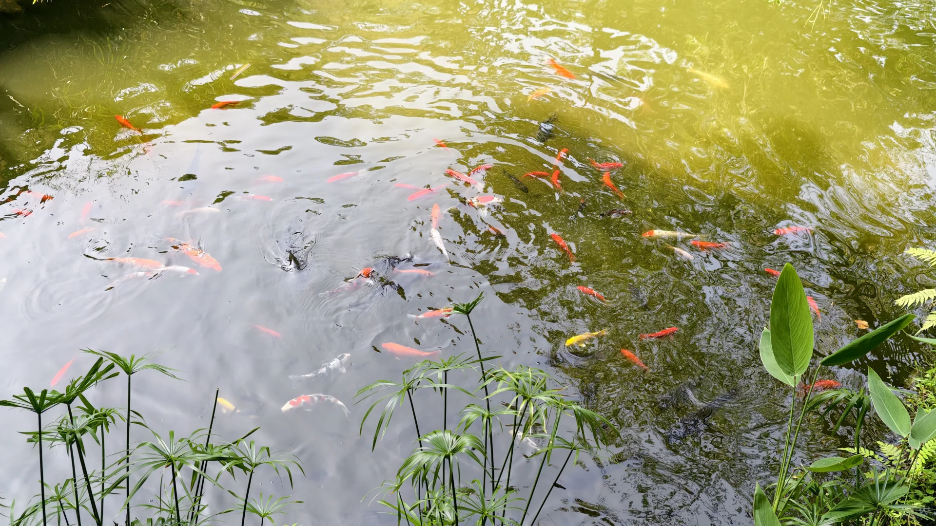 国恩寺之于六祖慧能，禅宗文化的精神地标