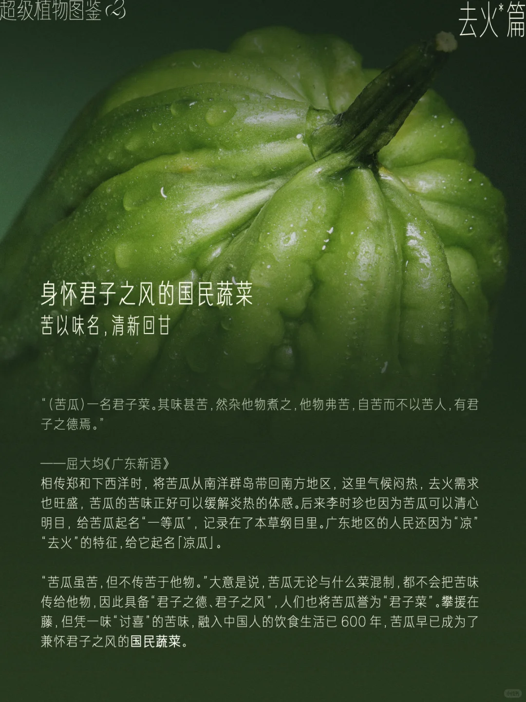 ?从一抹绿色出发，探访超级植物茶