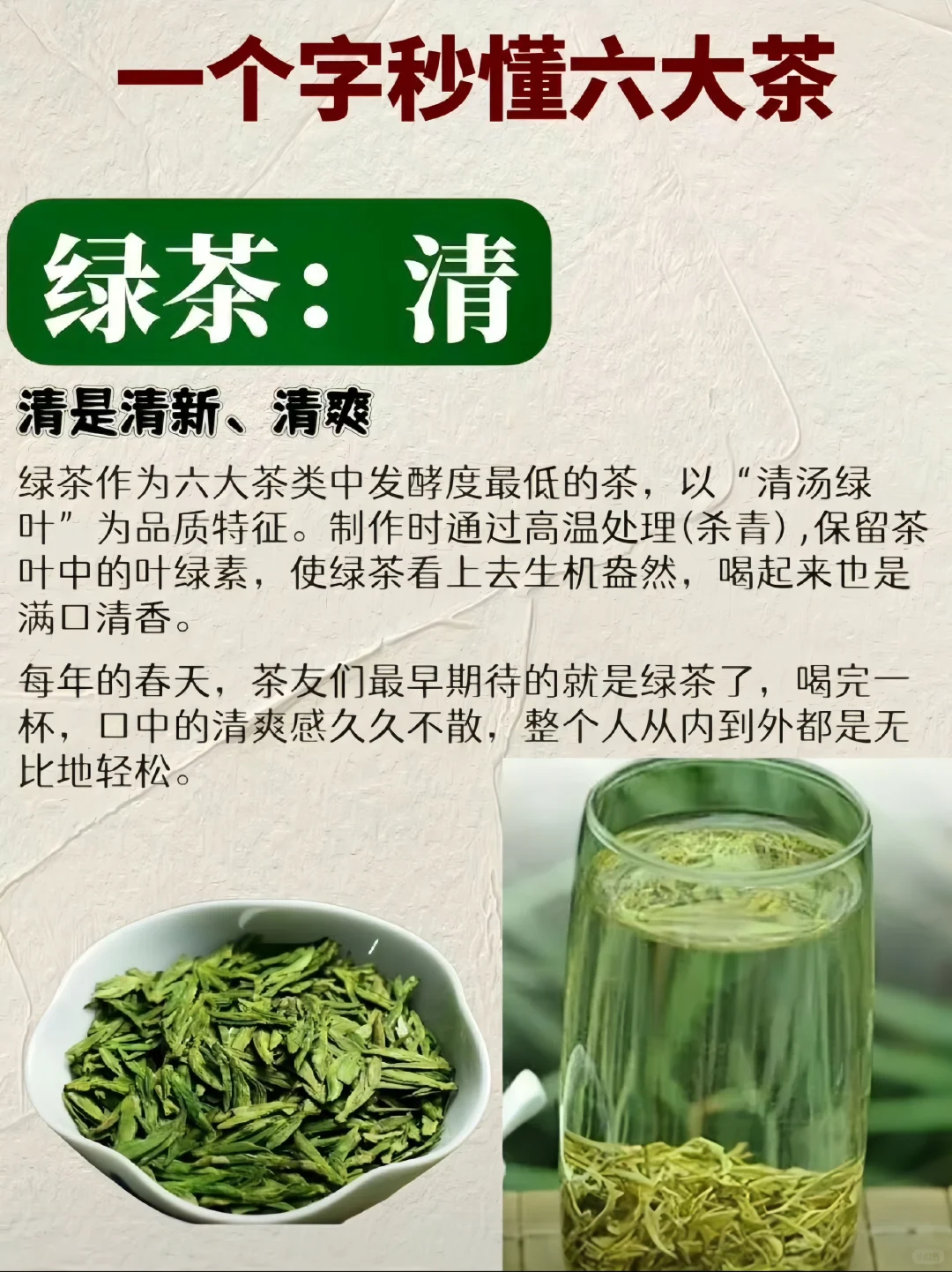 一个字秒懂六大茶类，小白速进！