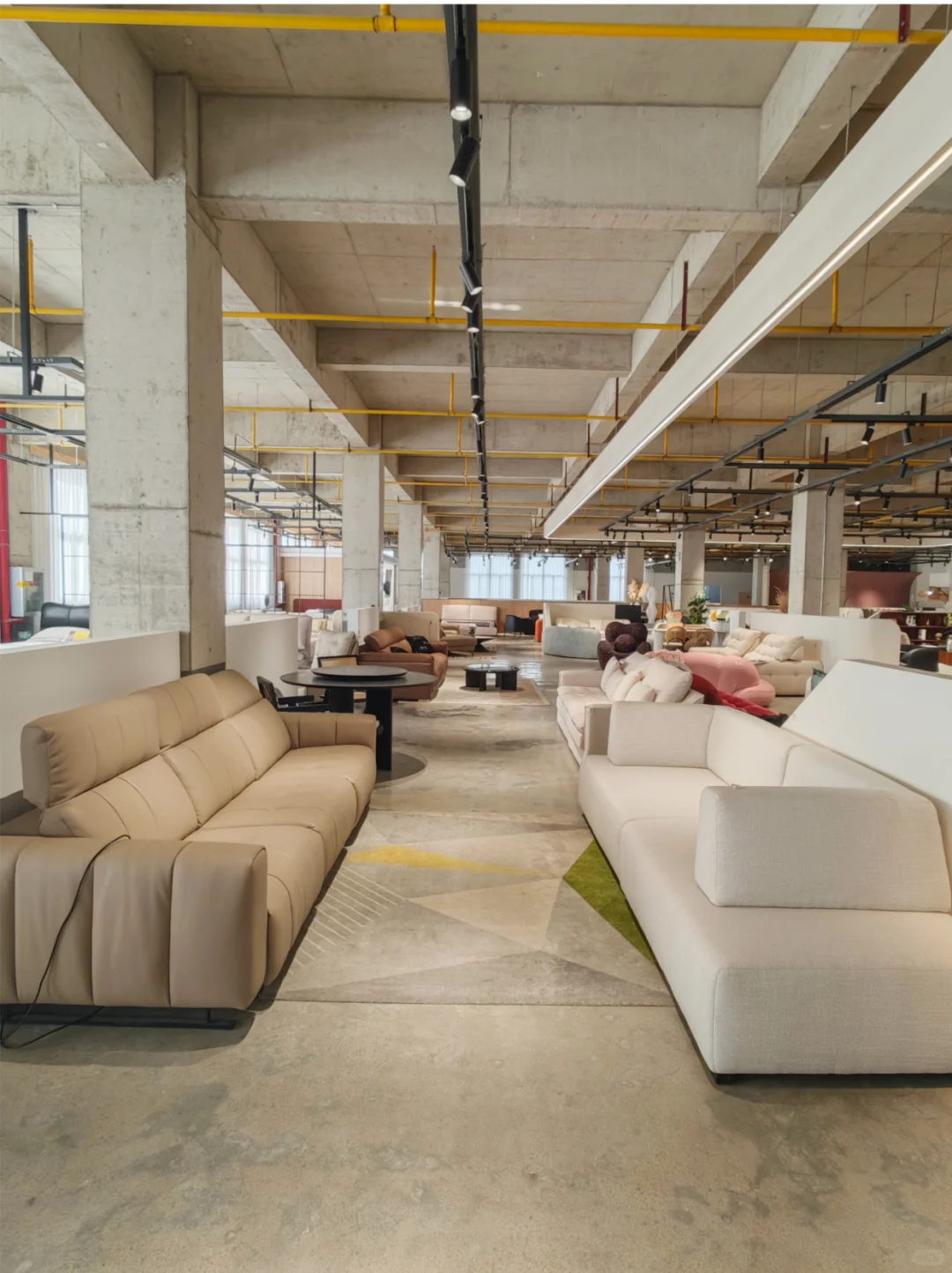 抢疯了！双十一爆火的源头家具工厂超好逛!