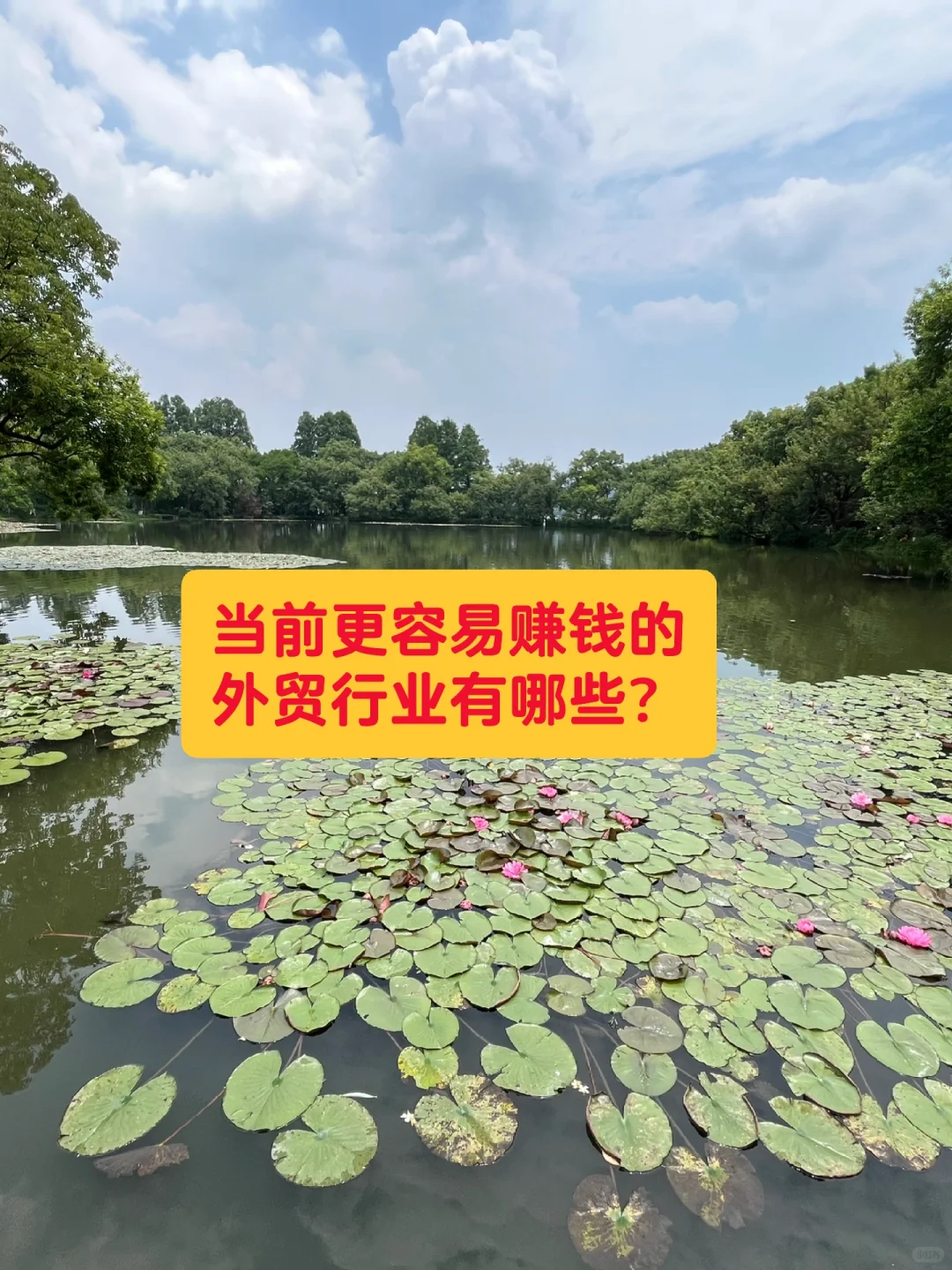 ?当前容易赚钱的外贸行业有哪些⁉️