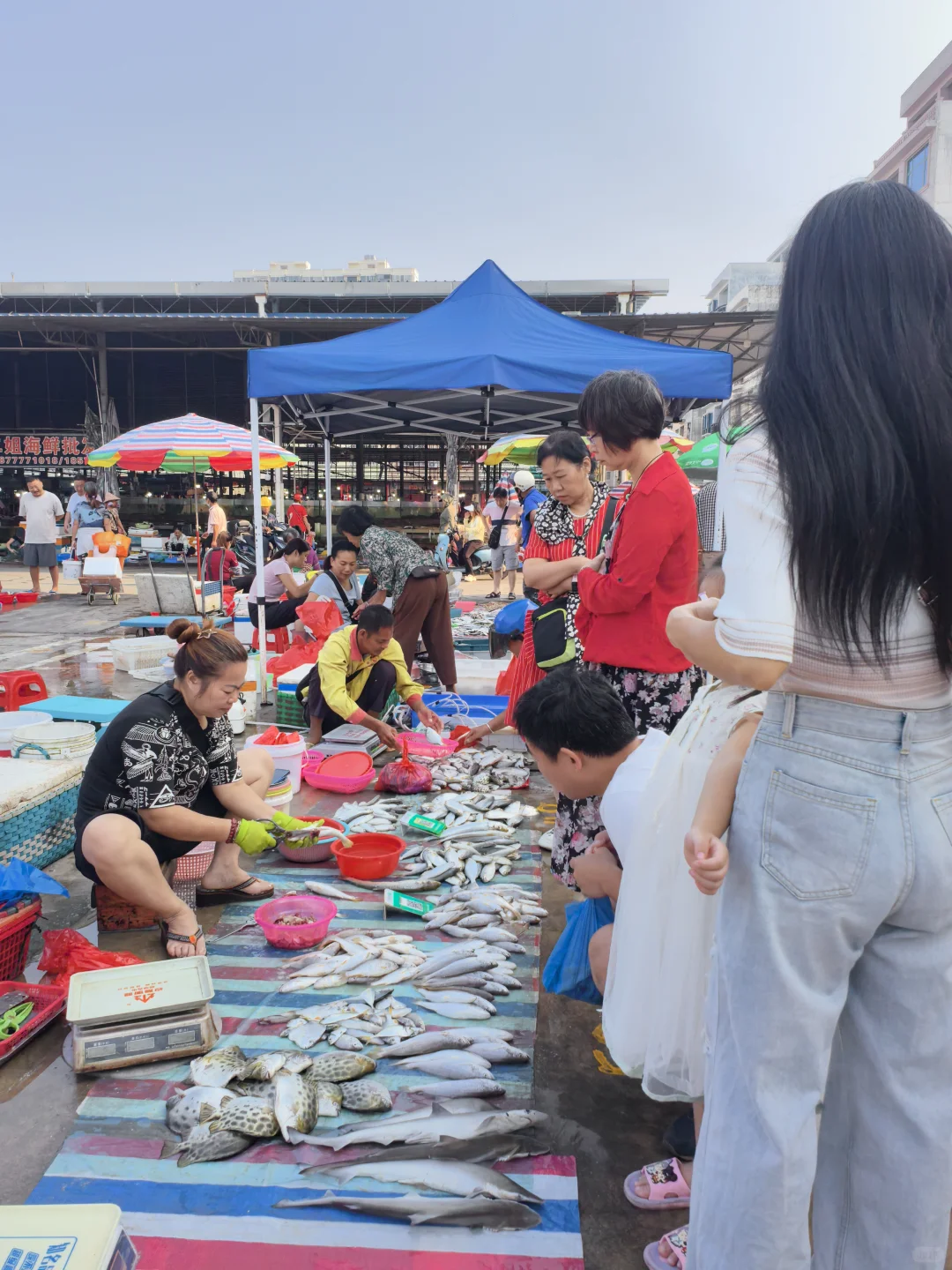 钦州犀牛镇丝罗市场买逛攻略