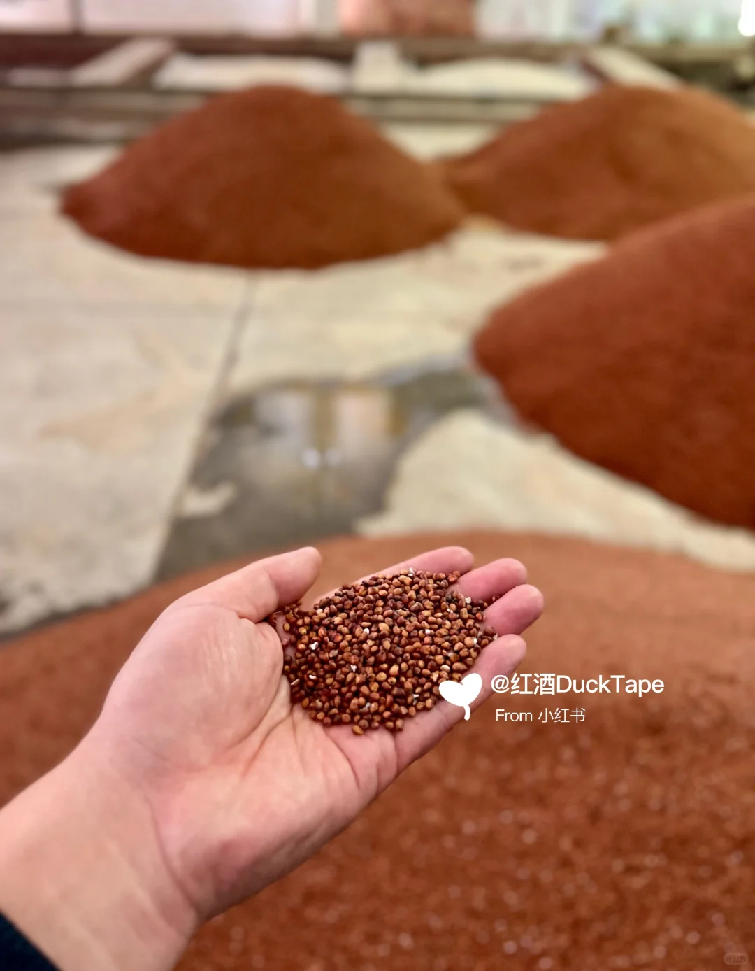 夜探茅台镇：深度体验酱香工艺