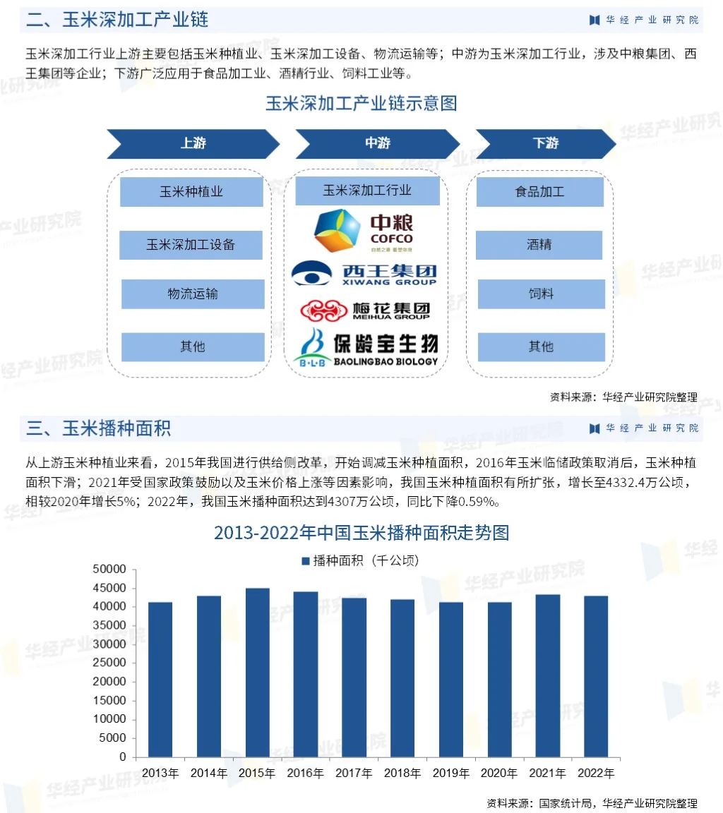 2023年中国玉米深加工行业市场全景评估报告
