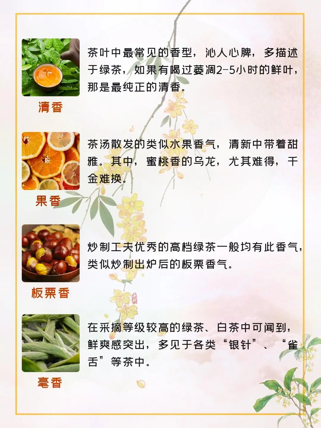 常见的20种茶香 你闻过几种呢❓