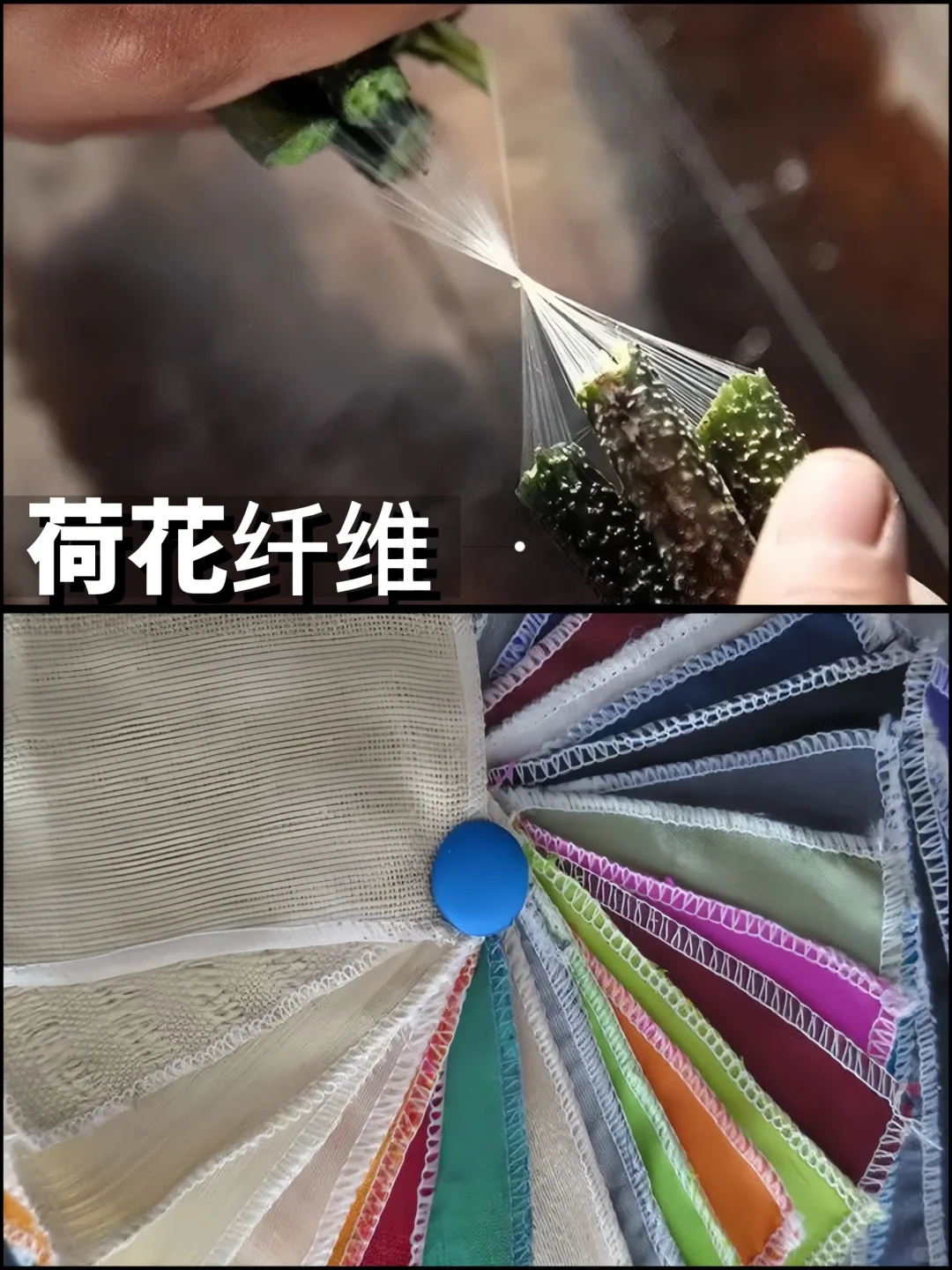 更新设计师面料库❗️那些有趣的环保新型面料