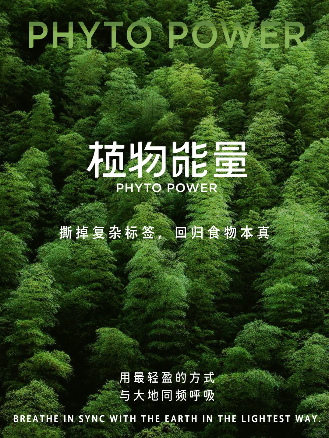 hi,重新认识一下!我叫 植物能量?