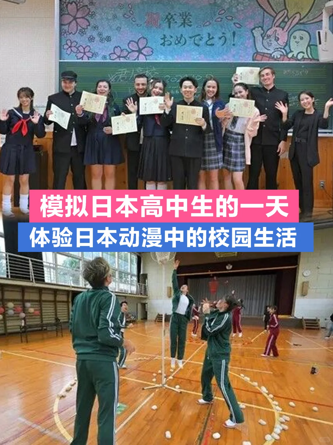 别错过❗寒假日韩双国游学一次拿捏两种文化