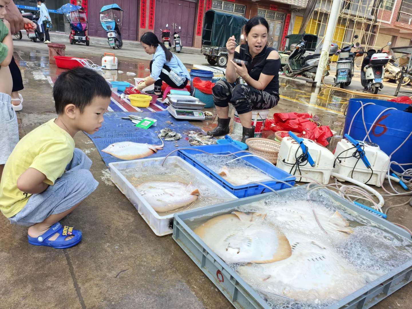 钦州犀牛镇丝罗市场买逛攻略