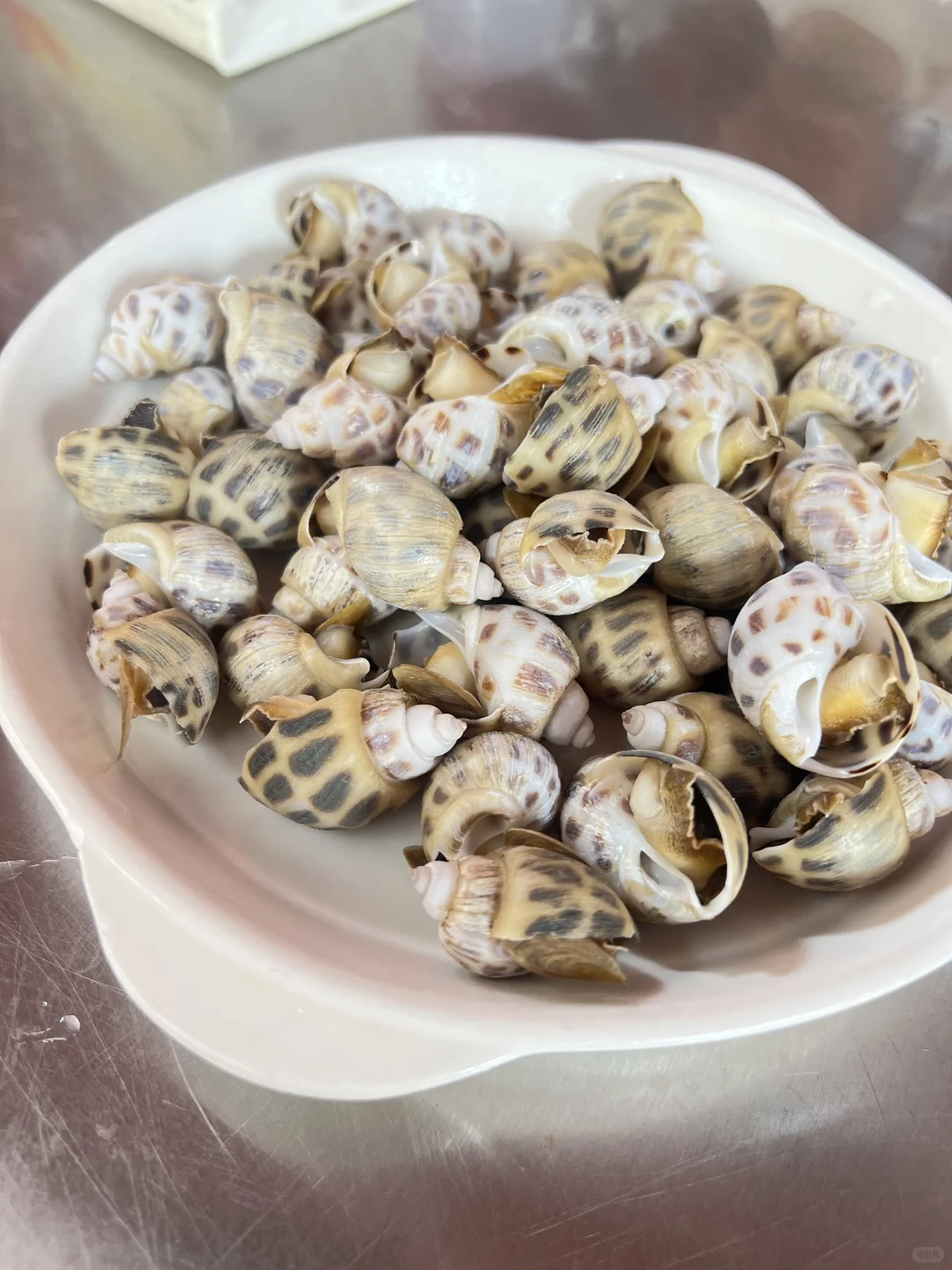 阳江美食 | 白蒲市场实现海鲜自由！