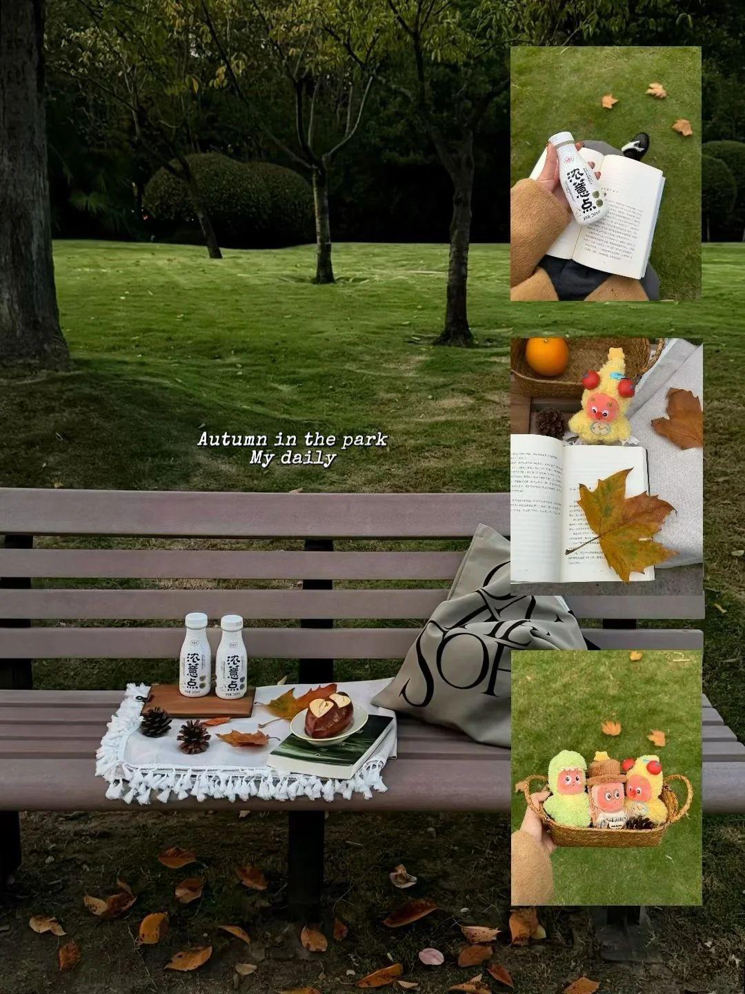 Autumn 好食在秋日