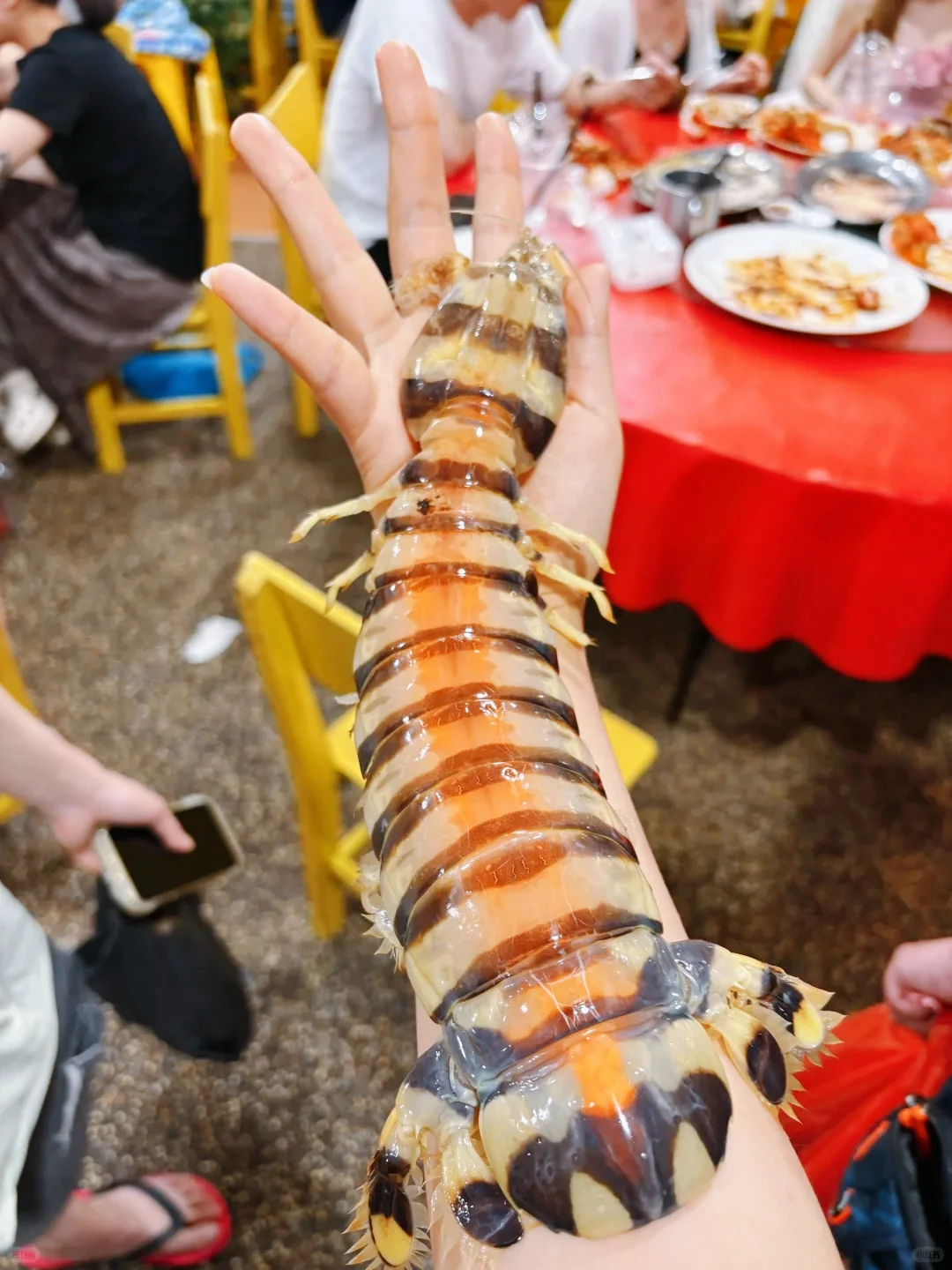 ?仙本那海鲜市场｜砍价砍到摊主想拉黑我！