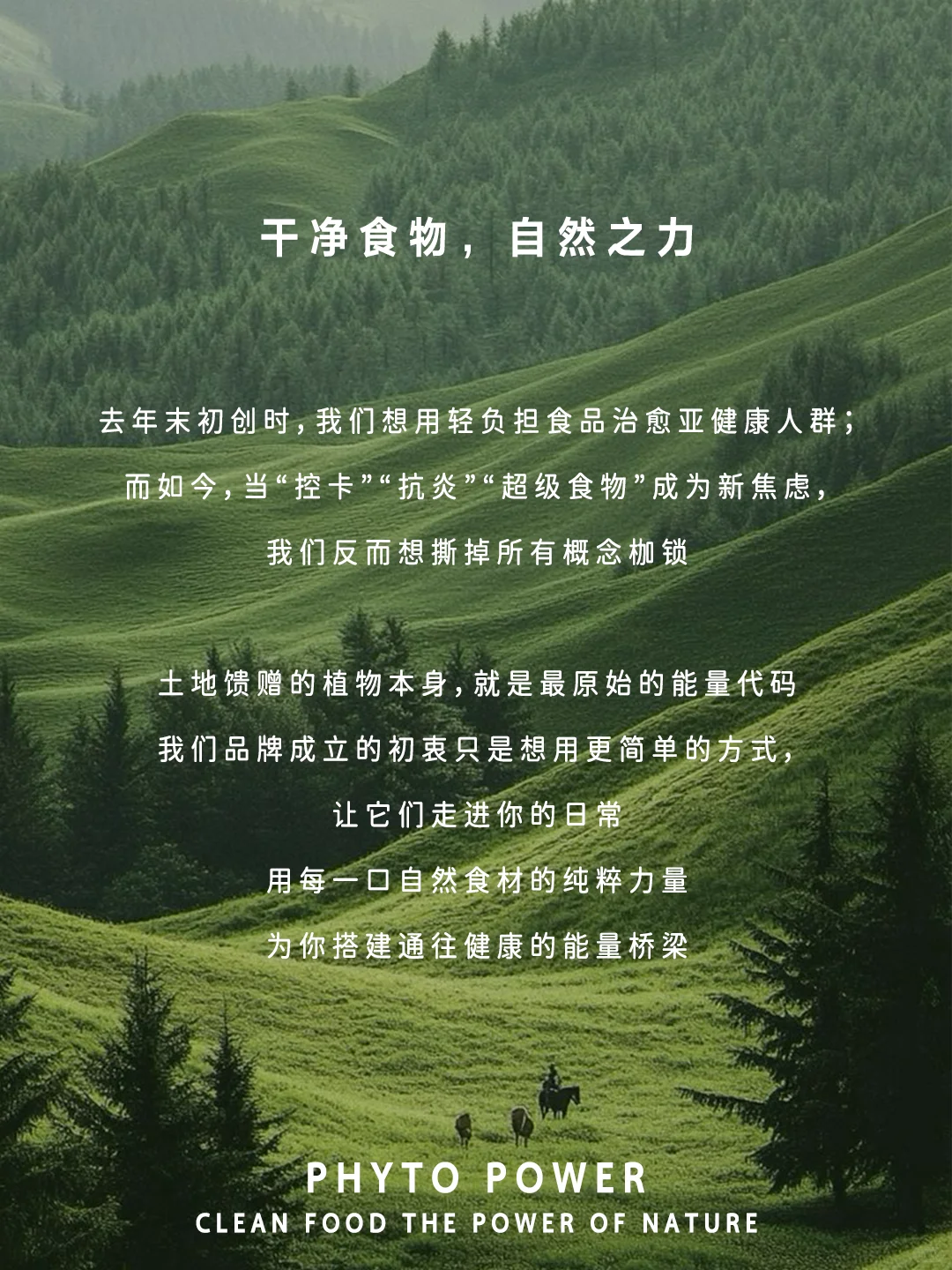 hi,重新认识一下!我叫 植物能量?