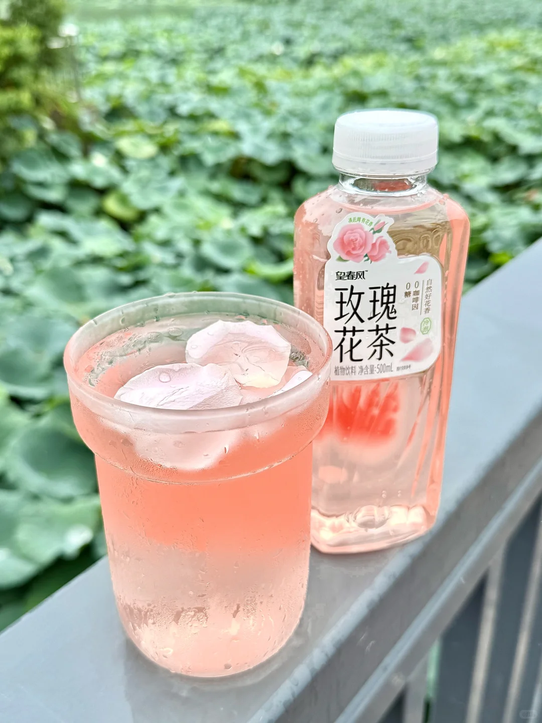 你以为的养生玫瑰花茶，可能正在慢性毁容