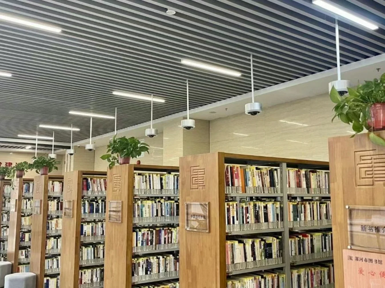 豫见数字文旅，解锁新奇体验✨