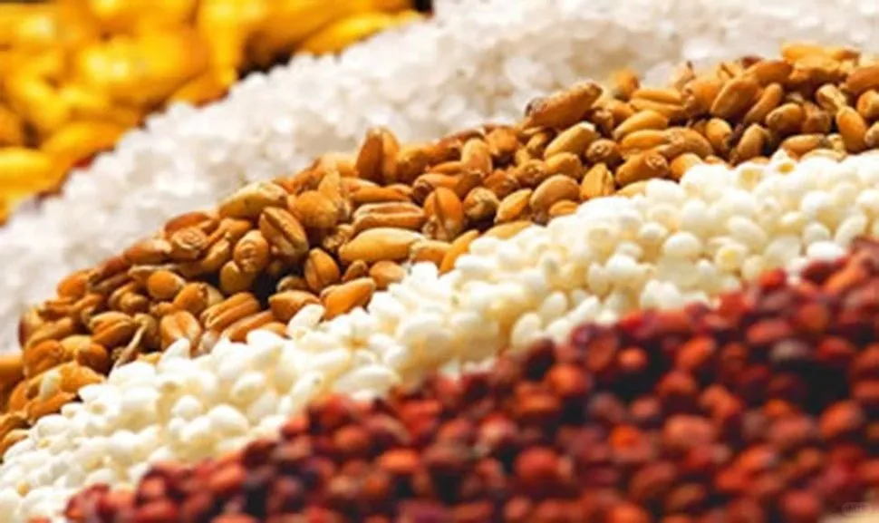 酱香型白酒的口感体验