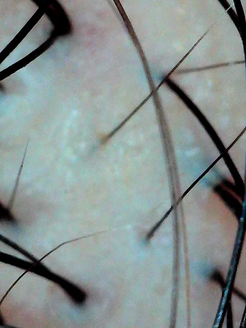 #生姜饮品新用法被我挖到了 109元