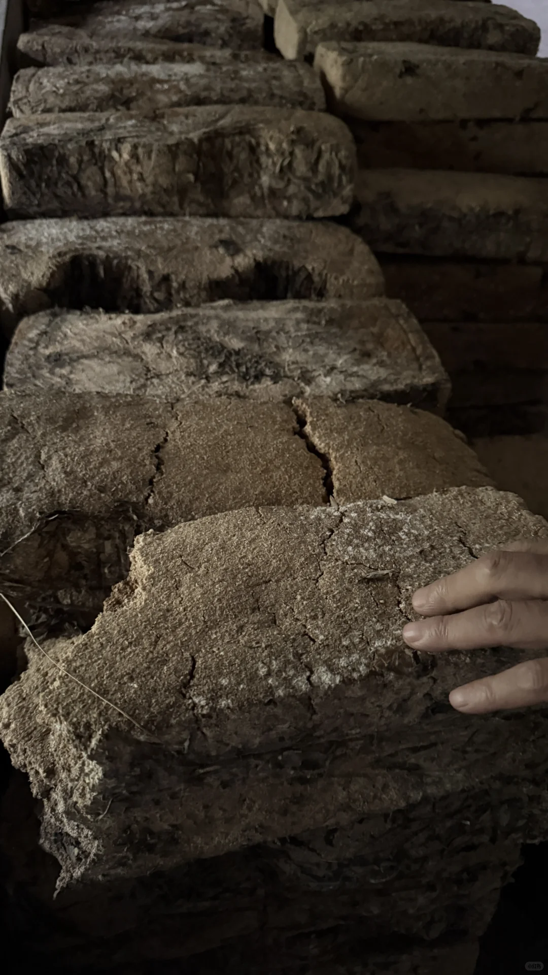 被褐怀玉；广结善缘。