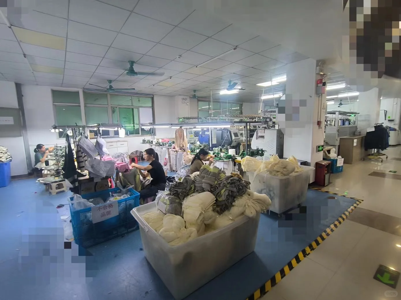 COSTCO GMP EUDR 验厂